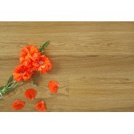 Hajnowka Дуб Natur