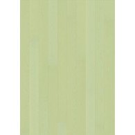 ЯСЕНЬ STORY 138 MINT