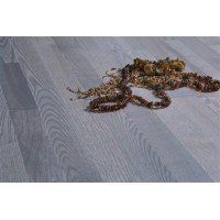 Baltic Wood ЯСЕНЬ CLASSIC 3R GINGER ROOT