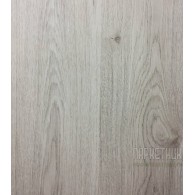 Sommer Дуб Кельн