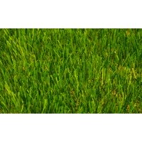 Limonta SoccerPro MF DIAMOND 50