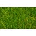 Limonta SoccerPro MF DIAMOND 50