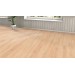 Клен сикамор (виноградный клен) ТМ Haro