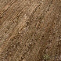 Bark Oak