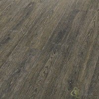 Cinder Oak